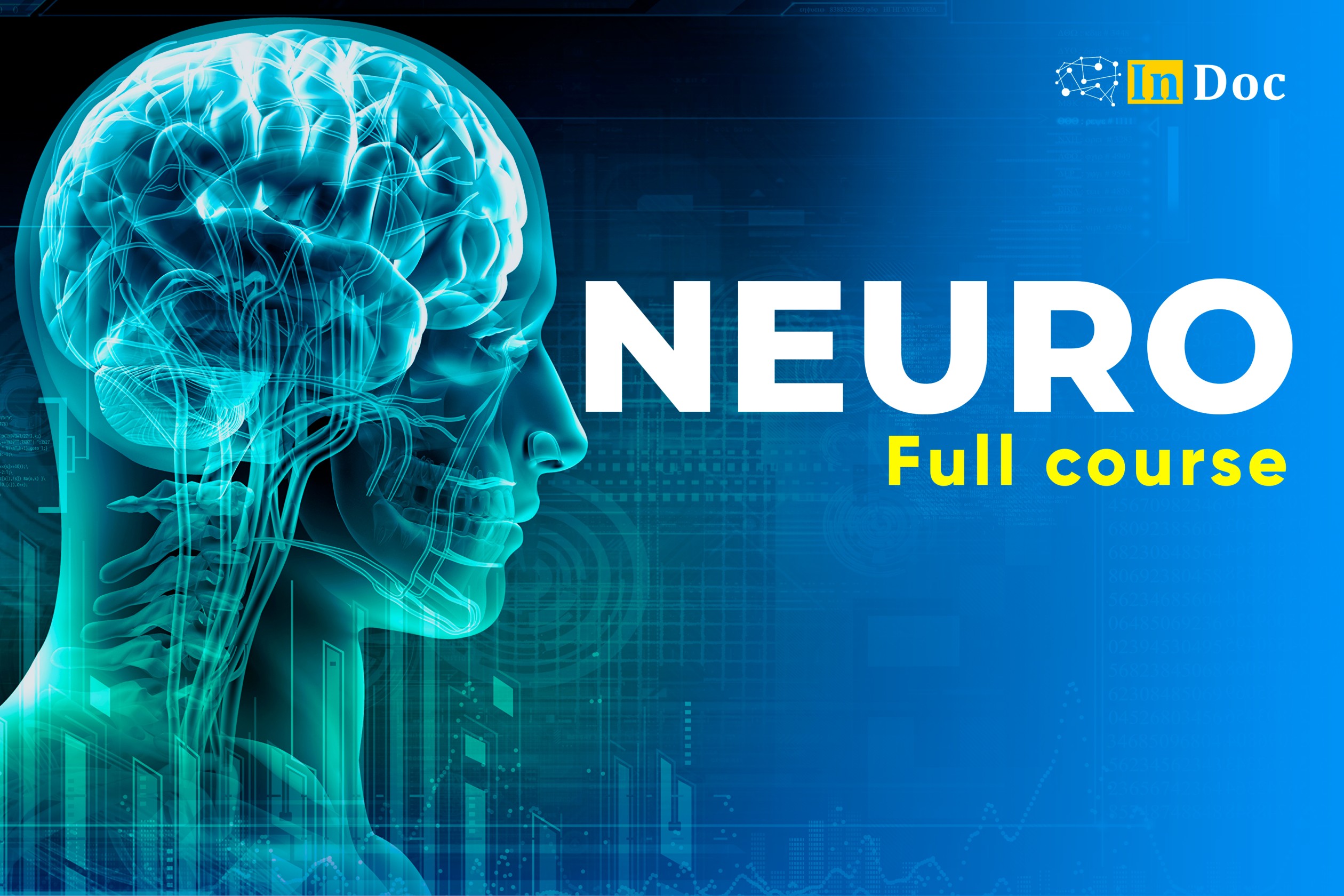 Neuroanatomy